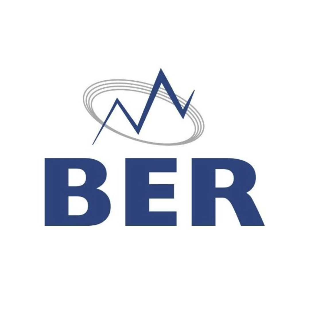 Bureau for Economic Research (BER) logo