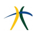National Treasury of Brazil (STN) logo