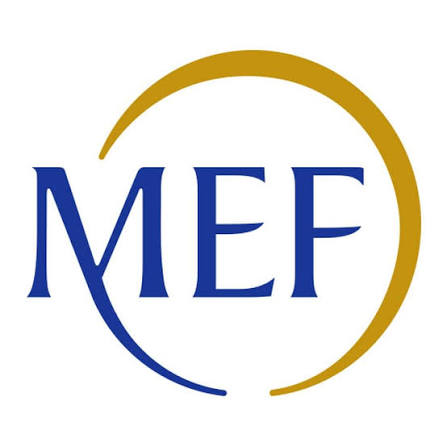 Ministero dell'Economia e delle Finanze (MEF Italy) logo