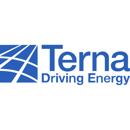 Terna logo